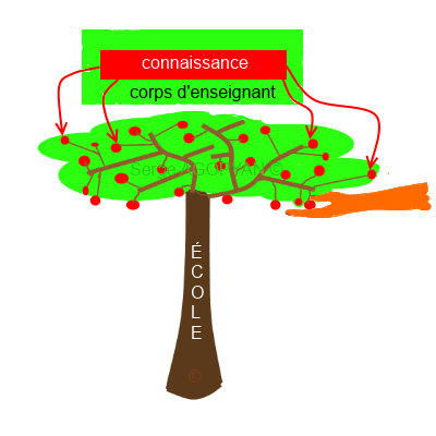 arbre de connaissance.png